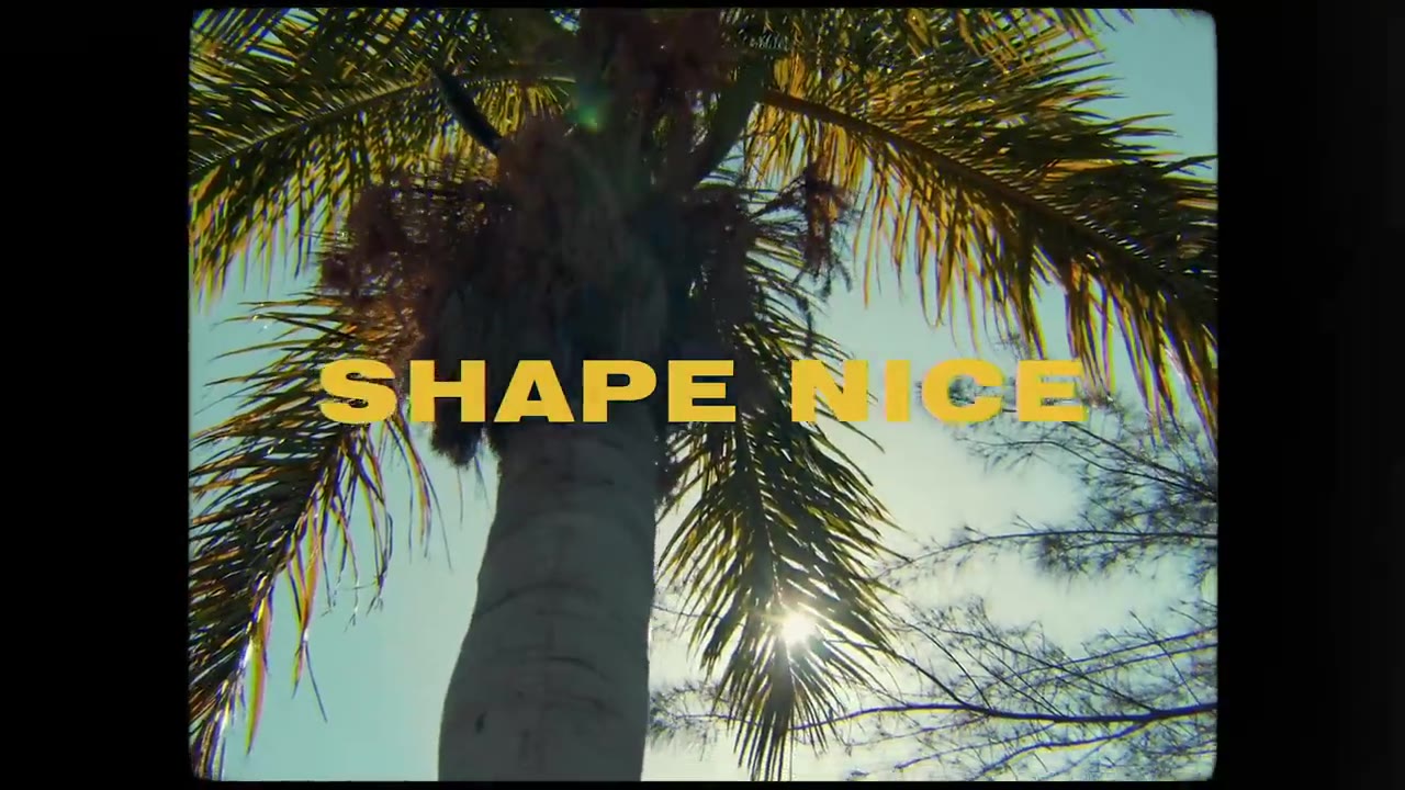 Afro B, Vybz Kartel, Dre Skull - Shape Nice (Official Video)